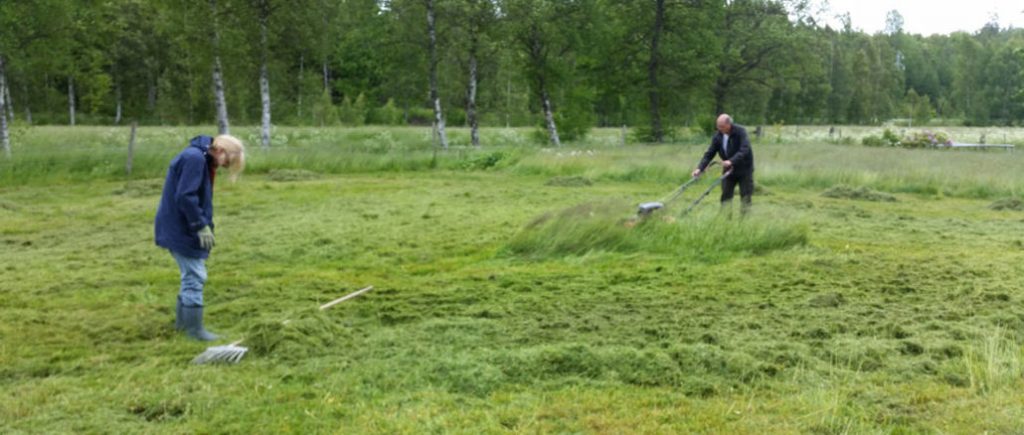 Unser schwedischer Garten.