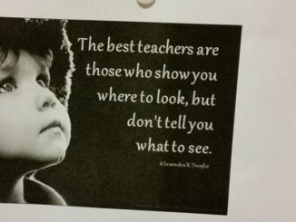 "The best teachers are those who show you where to look, but don't tell you what to see." (Alexandra K.Trenfor)