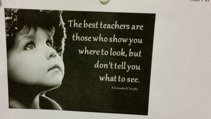 "The best teachers are those who show you where to look, but don't tell you what to see." (Alexandra K.Trenfor)