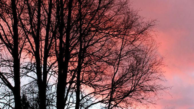 SvenskaNyheter_2017-04-25_Schweden_Gewitter_1030x438 Tiefroter Himmel hinter den Bäumen.