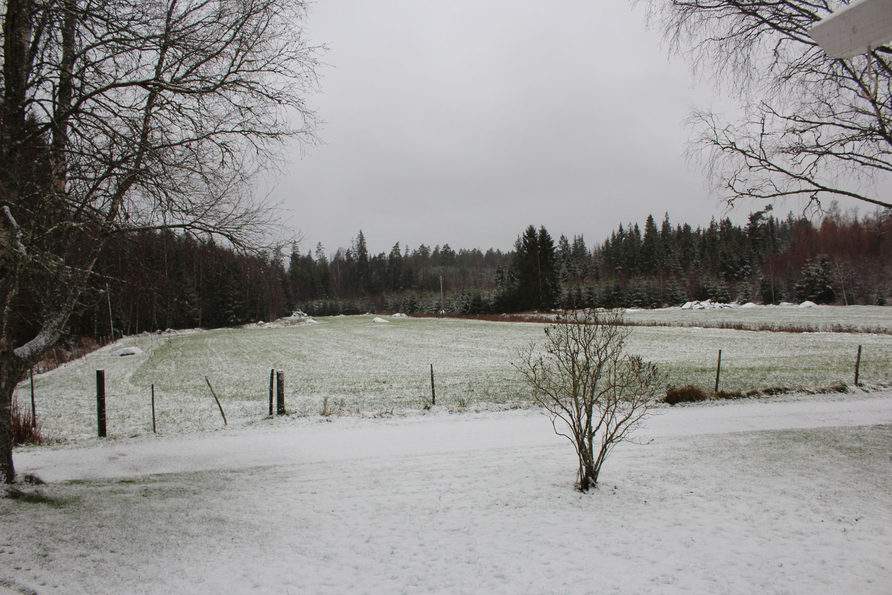 Schnee in Schweden