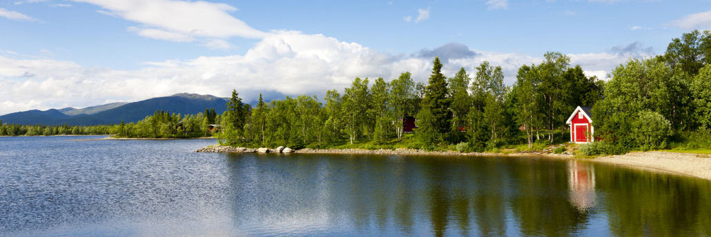 Svenska Nyheter