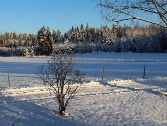 Schweden im Winter