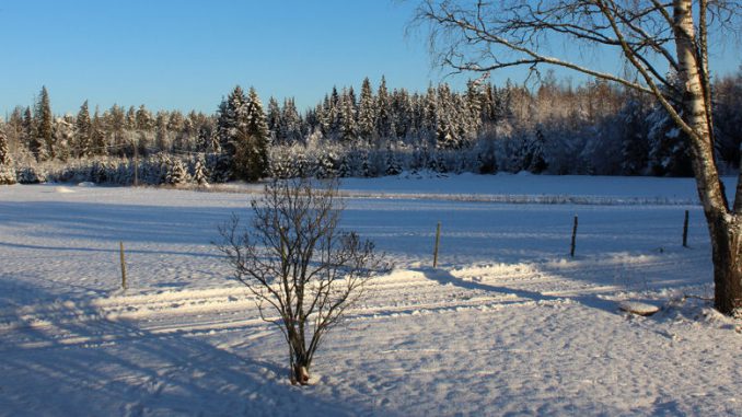 Schweden im Winter