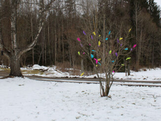 Bunte Osterfedern am Busch