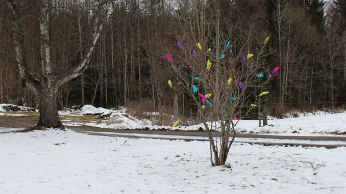 SvenskaNyheter_2018-03-31_Schweden_Osterfedern_1030x438 Bunte Osterfedern am Busch