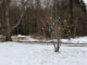 Bunte Osterfedern am Busch