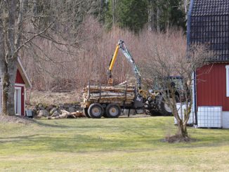 Traktor lädt Brennholz ab.