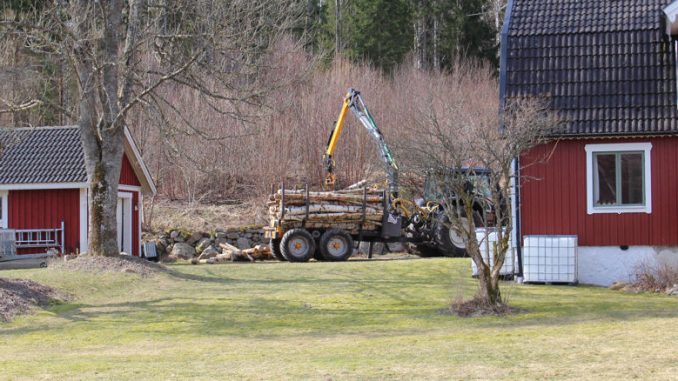 Traktor lädt Brennholz ab.