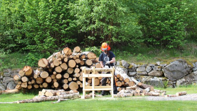 Mein Mann macht Brennholz im schwedischen Garten.