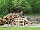 Mein Mann macht Brennholz im schwedischen Garten.