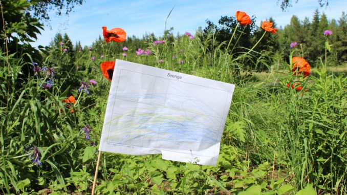 Die blau-gelbe Schwedenflagge für den Nationaldagen.