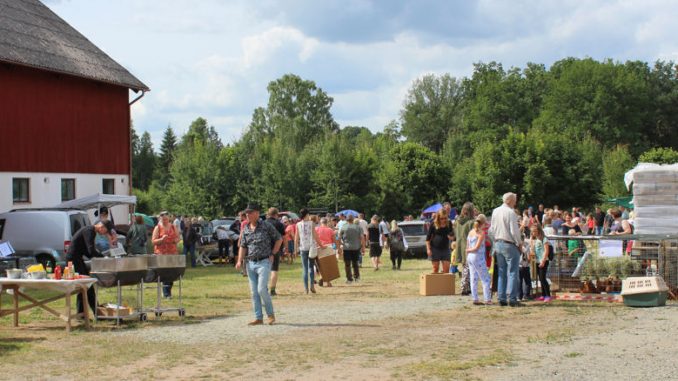 Hühnermarkt im schwedischen Domaryd.