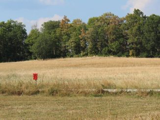 Ein völlig vertrocknetes Feld in Schweden