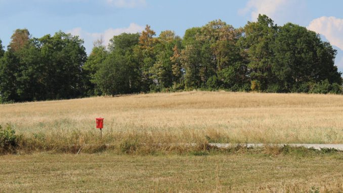 Ein völlig vertrocknetes Feld in Schweden