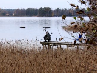 Ein Angler am Hönshyltefjorden in Schweden.