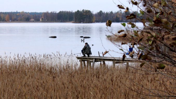 Ein Angler am Hönshyltefjorden in Schweden.