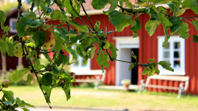 Das Kulturzentrum Linnés Råshult