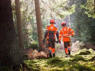 Zwei Männer arbeiten im schwedischen Wald