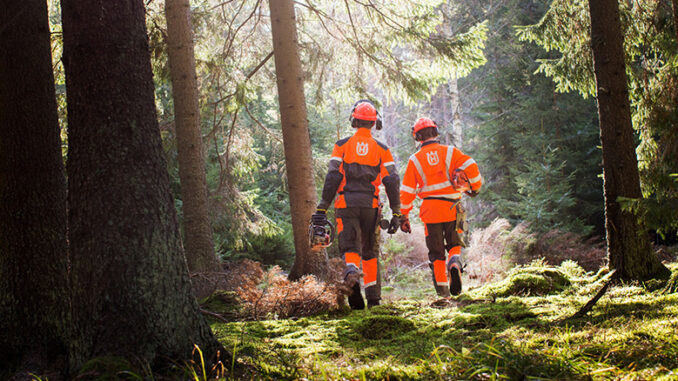 Zwei Männer arbeiten im schwedischen Wald