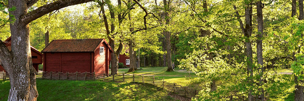 Svenska Nyheter