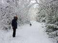 SvenskaNyheter_2015-11-22_Schweden_Schnee_i