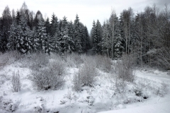 SvenskaNyheter_2015-11-22_Schweden_Schnee_b