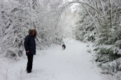 SvenskaNyheter_2015-11-22_Schweden_Schnee_i