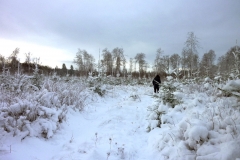 SvenskaNyheter_2015-11-22_Schweden_Schnee_j