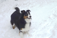 SvenskaNyheter_2015-11-22_Schweden_Schnee_m