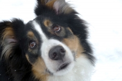 SvenskaNyheter_2015-11-22_Schweden_Schnee_o