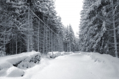 SvenskaNyheter_2015-11-22_Schweden_Schnee_r