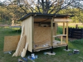 Keine Sauna, keine Stuga, sondern ein Hühnerstall. Langsam nimmt er Formen an.