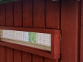 Keine Sauna, keine Stuga, sondern ein Hühnerstall. Langsam nimmt er Formen an.
