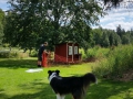 Keine Sauna, keine Stuga, sondern ein Hühnerstall. Langsam nimmt er Formen an.