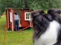 Keine Sauna, keine Stuga, sondern ein Hühnerstall. Langsam nimmt er Formen an.
