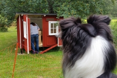 Keine Sauna, keine Stuga, sondern ein Hühnerstall. Langsam nimmt er Formen an. Keine Sauna, keine Stuga, sondern ein Hühnerstall. Langsam nimmt er Formen an.