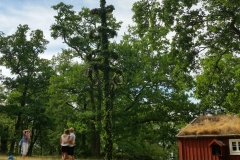 Mittsommerfest 2016 auf dem Lunnabacken Mittsommerfest 2016 auf dem Lunnabacken