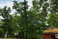 Mittsommerfest 2016 auf dem Lunnabacken