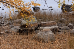 Der Nationalpark Åsnen im Oktober