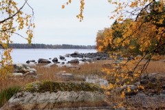 Der Nationalpark Åsnen im Oktober
