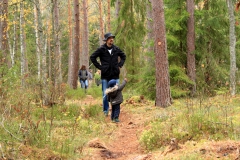 Der Nationalpark Åsnen im Oktober