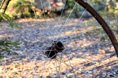 SvenskaNyheter_2016-08-06_Schweden_Bilkyrkogarden_09