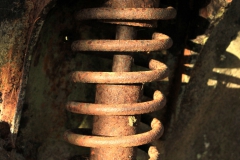 SvenskaNyheter_2016-08-06_Schweden_Bilkyrkogarden_11