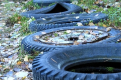 SvenskaNyheter_2016-08-06_Schweden_Bilkyrkogarden_19