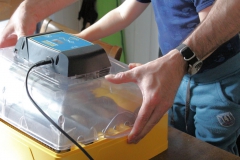 SvenskaNyheter_2019-07-16_Schweden_Brutmaschine_03