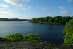 SvenskaNyheter_2019-08_Schweden_Elchpark_08