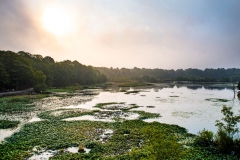 SvenskaNyheter_2019-08_Schweden_Elchpark_15