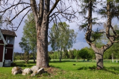 SvenskaNyheter_2019-05-22_Schweden_18