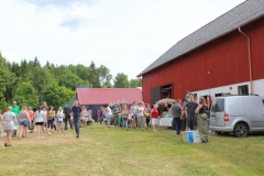 Hühnermarkt im schwedischen Domaryd.